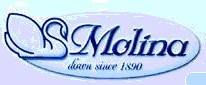 Molina